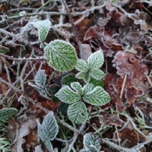 De la vallée de la Semoy à Charleville-Mézières, en hiver et avec du soleil ☀️ Chose rare et particulièrement appréciable 😎.#ardennes #winter #landscape